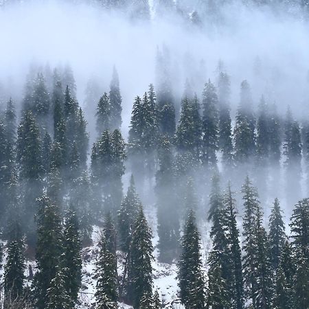 Ahorastays Манали Экстерьер фото